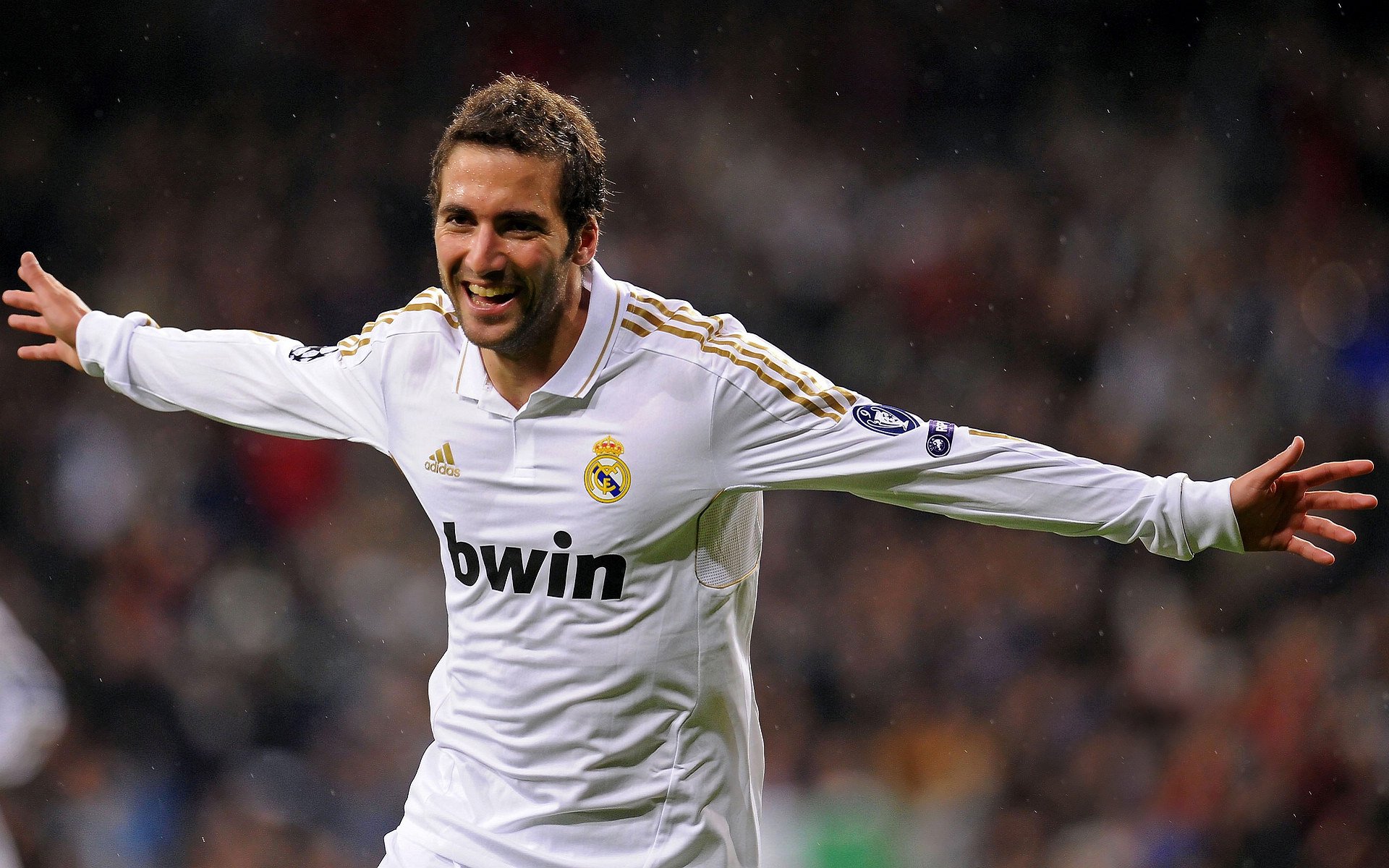 综合格斗赛场焦点！法国队对阵荷兰队，体能极限考验，赛场硬仗一触即发