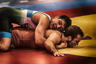 综合格斗赛场焦点！比利时队对阵俄罗斯队，冠军之争悬念重重